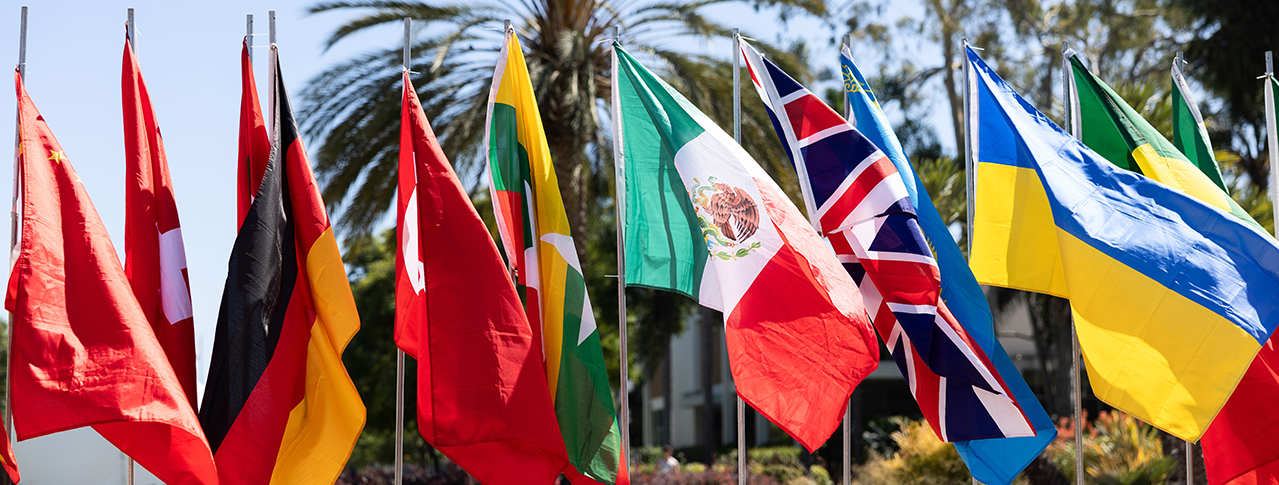 A row of international country flags on poles, waving in the wind, with palm trees in the background.